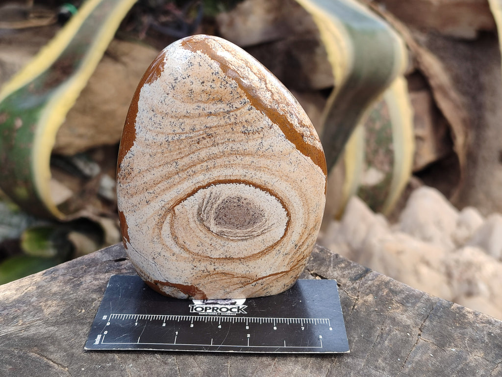 Polished Picture Stone Jasper Standing Free Forms x 3 From Ais-Ais, Namibia - Toprock Gemstones and Minerals 