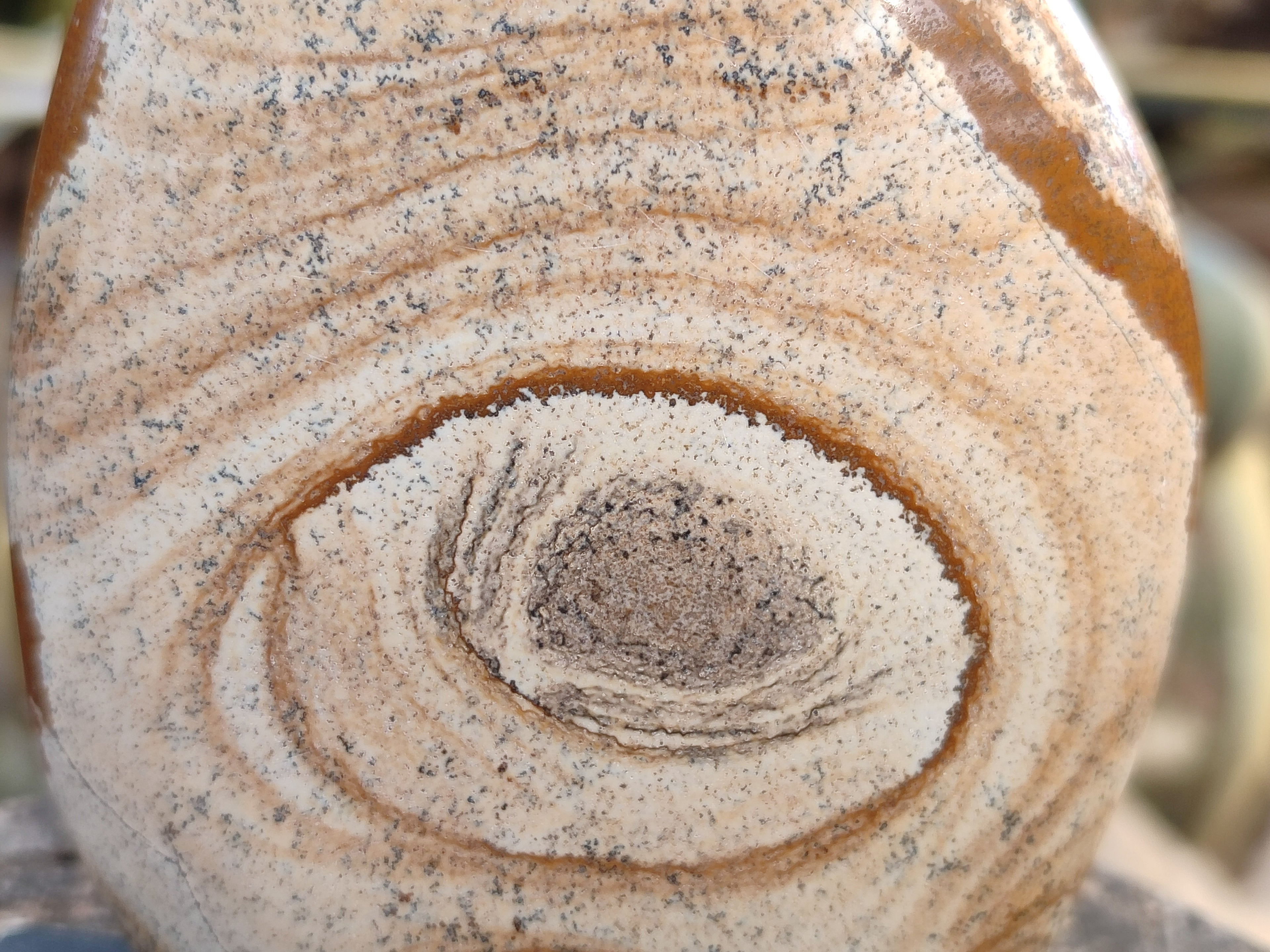 Polished Picture Stone Jasper Standing Free Forms x 3 From Ais-Ais, Namibia - Toprock Gemstones and Minerals 