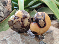 Polished Fossilized Septerye Hearts x 12 From Mahajanga, Madagascar - Toprock Gemstones and Minerals 