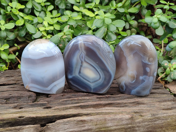 Polished Banded Agate Standing Free Forms x 3 From Madagascar - Toprock Gemstones and Minerals 