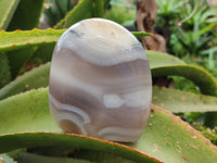 Polished Banded Agate Standing Free Forms x 3 From Madagascar - Toprock Gemstones and Minerals 