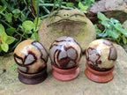 Polished Septerye Spheres x 4 From Mahajanga, Madagascar - Toprock Gemstones and Minerals 