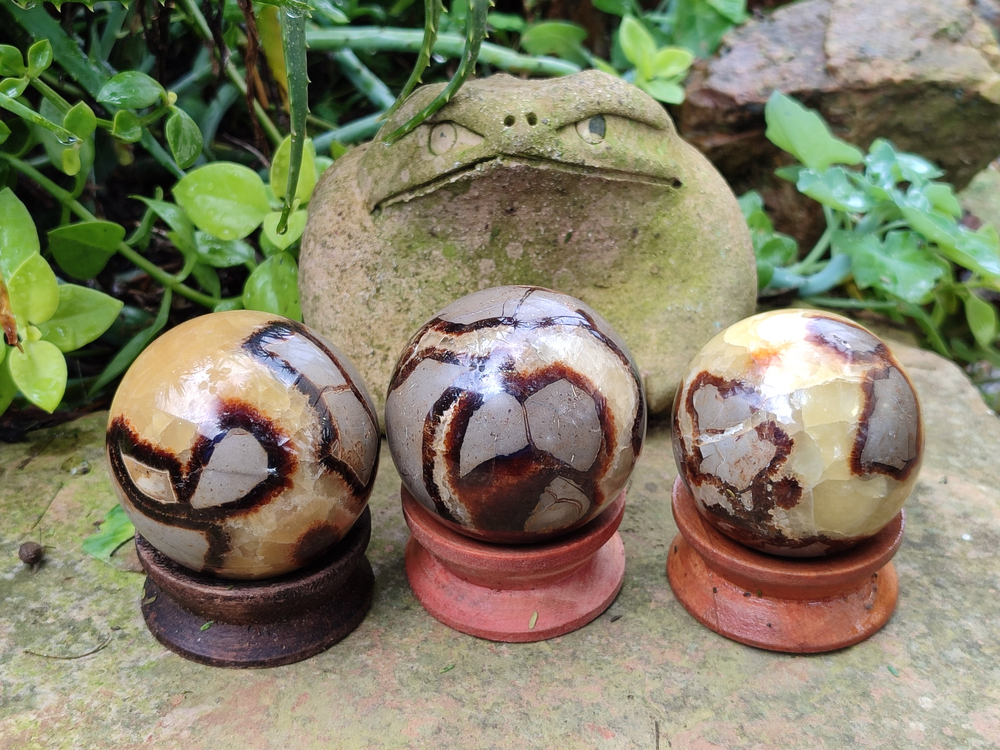 Polished Septerye Spheres x 4 From Mahajanga, Madagascar - Toprock Gemstones and Minerals 