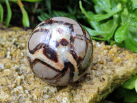 Polished Septerye Spheres x 4 From Mahajanga, Madagascar - Toprock Gemstones and Minerals 