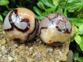 Polished Septerye Spheres x 4 From Mahajanga, Madagascar - Toprock Gemstones and Minerals 