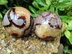 Polished Septerye Spheres x 4 From Mahajanga, Madagascar - Toprock Gemstones and Minerals 
