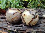 Polished Septerye Spheres x 4 From Mahajanga, Madagascar - Toprock Gemstones and Minerals 