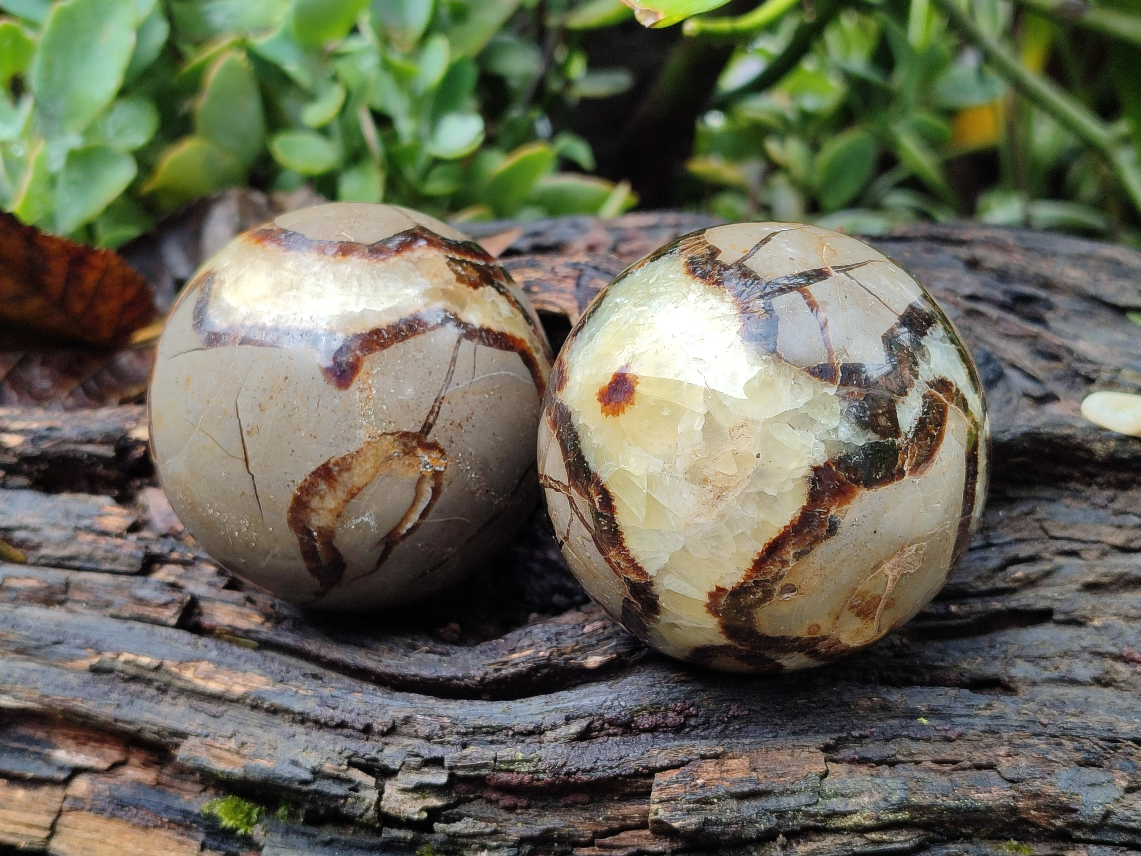 Polished Septerye Spheres x 4 From Mahajanga, Madagascar - Toprock Gemstones and Minerals 