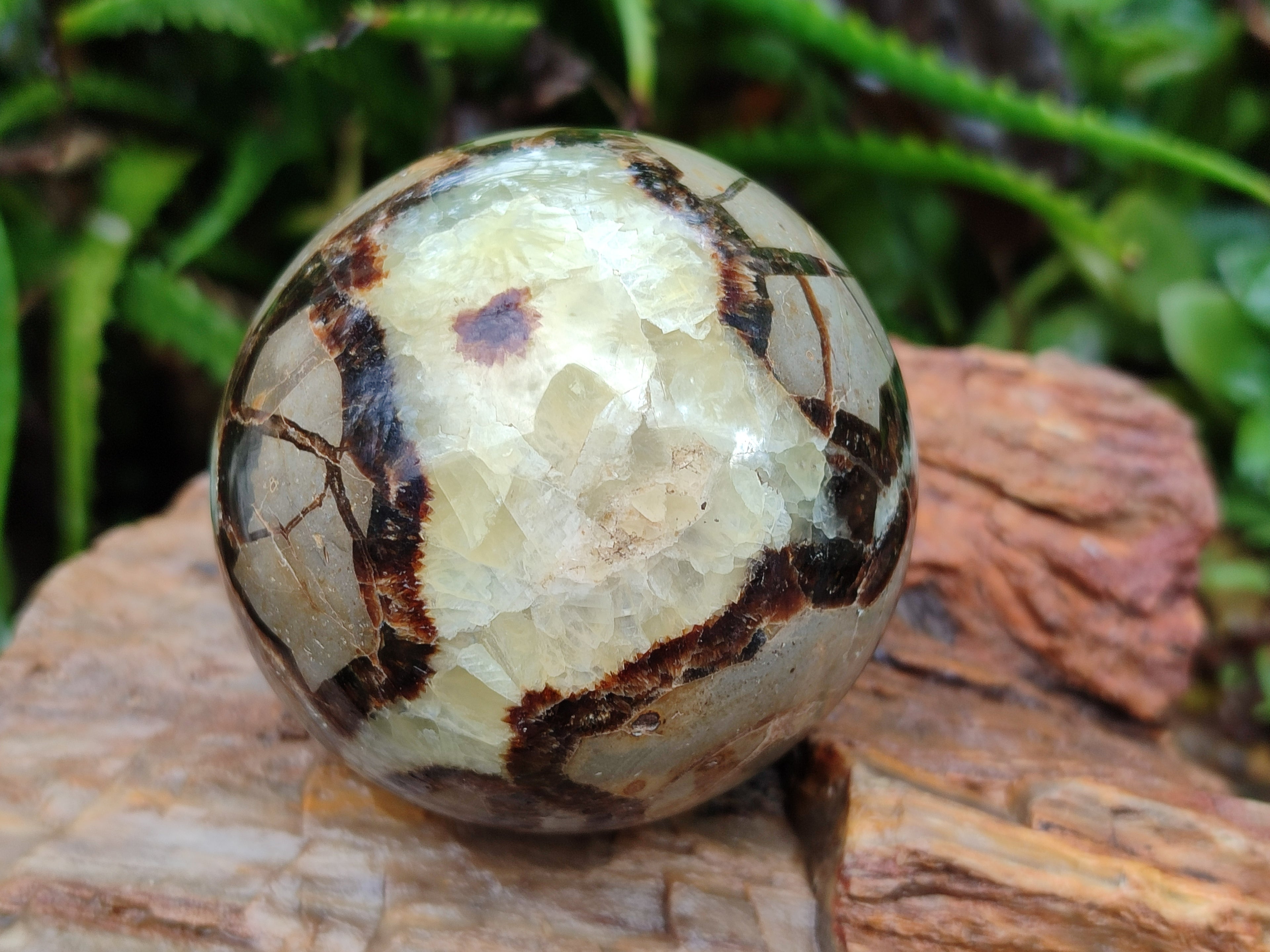 Polished Septerye Spheres x 4 From Mahajanga, Madagascar - Toprock Gemstones and Minerals 