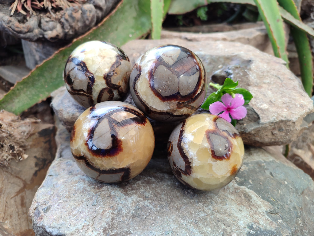 Polished Septerye Spheres x 4 From Mahajanga, Madagascar - Toprock Gemstones and Minerals 