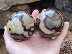 Polished Septerye Spheres x 4 From Mahajanga, Madagascar - Toprock Gemstones and Minerals 