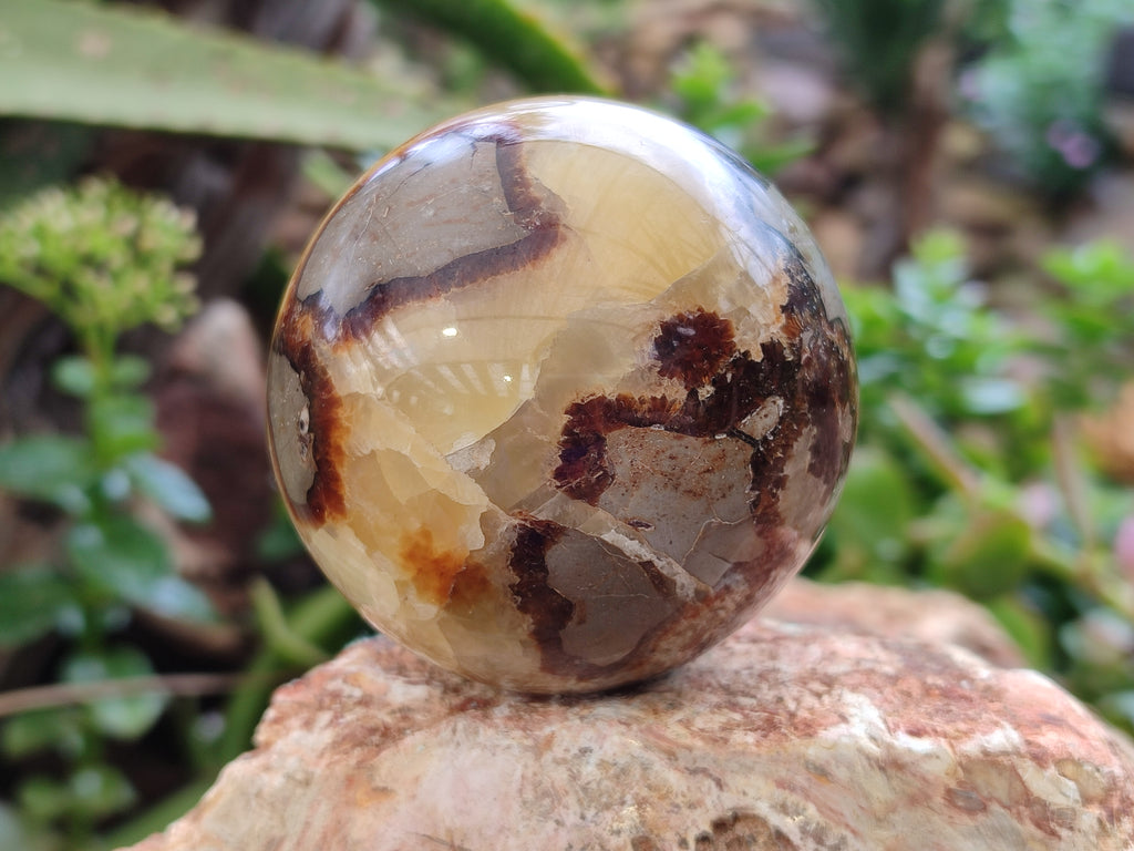 Polished Septerye Spheres x 4 From Mahajanga, Madagascar - Toprock Gemstones and Minerals 