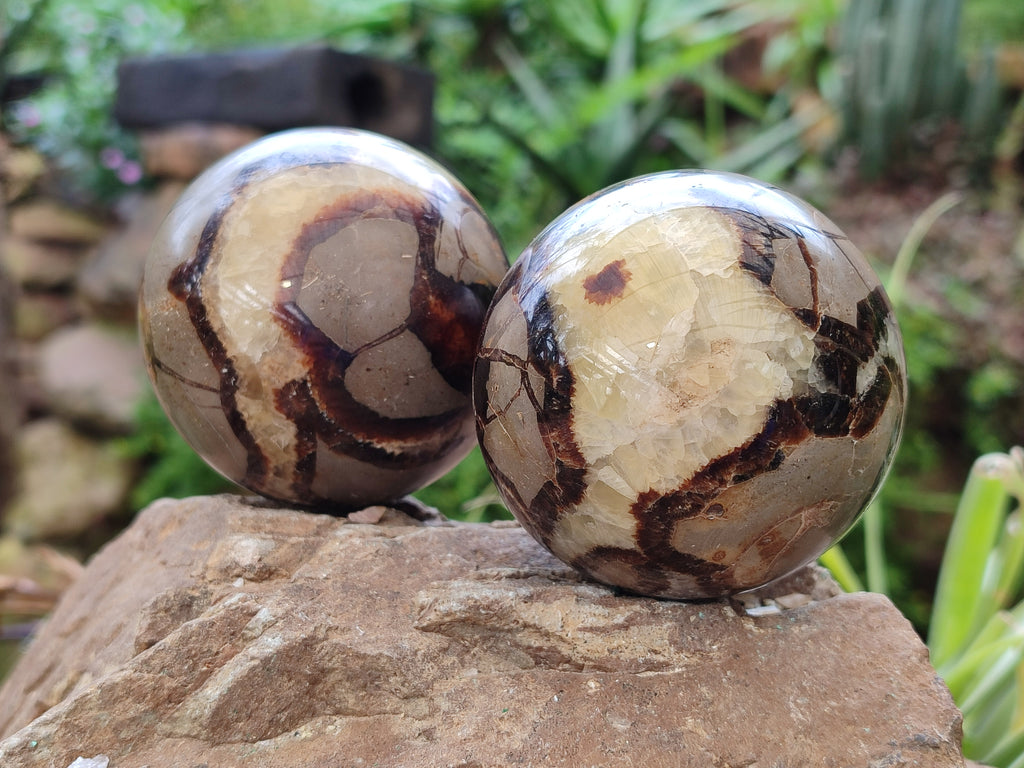 Polished Septerye Spheres x 4 From Mahajanga, Madagascar - Toprock Gemstones and Minerals 