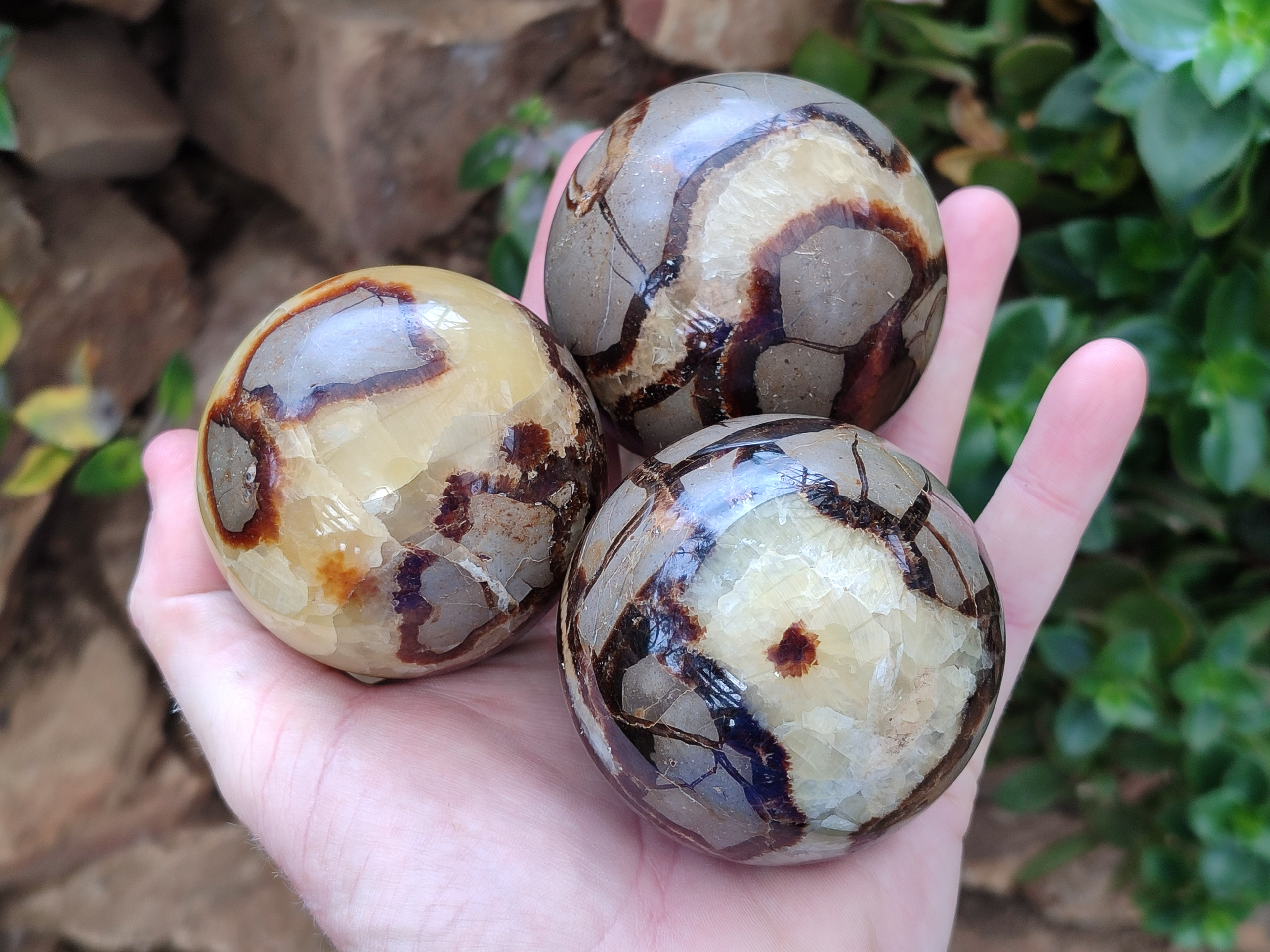 Polished Septerye Spheres x 4 From Mahajanga, Madagascar - Toprock Gemstones and Minerals 