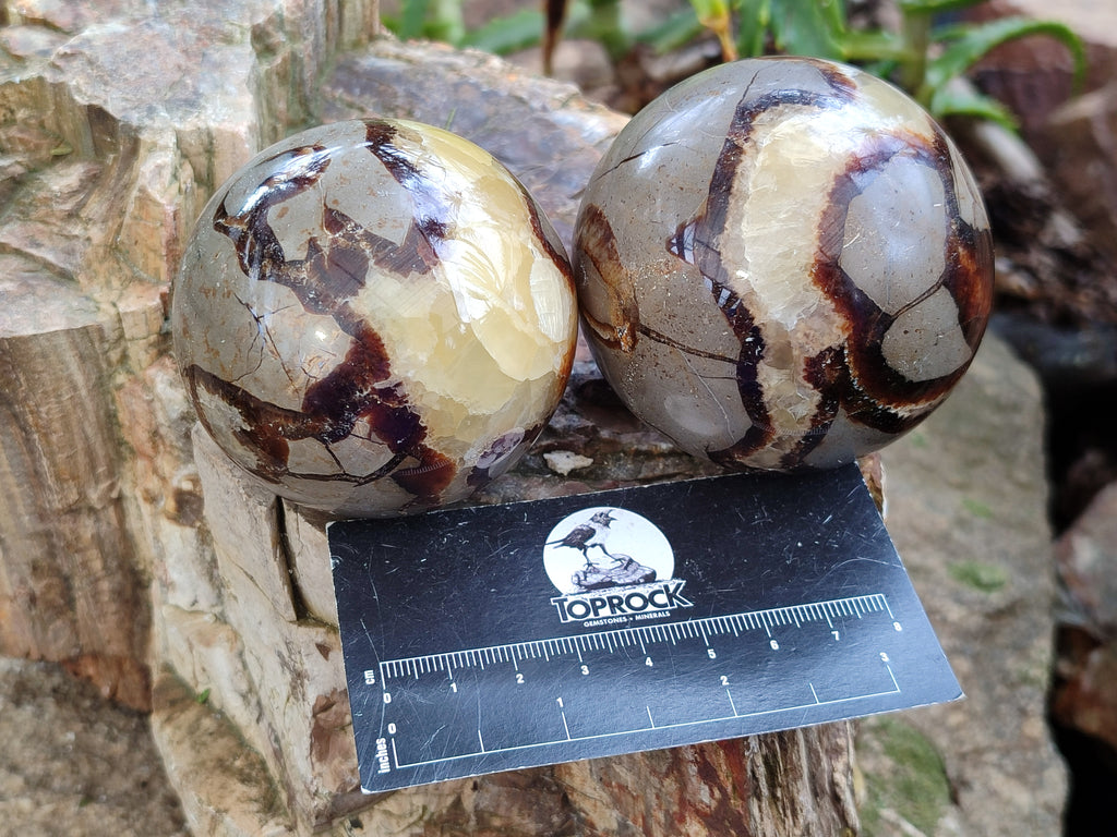 Polished Septerye Spheres x 4 From Mahajanga, Madagascar - Toprock Gemstones and Minerals 