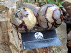 Polished Septerye Spheres x 4 From Mahajanga, Madagascar - Toprock Gemstones and Minerals 
