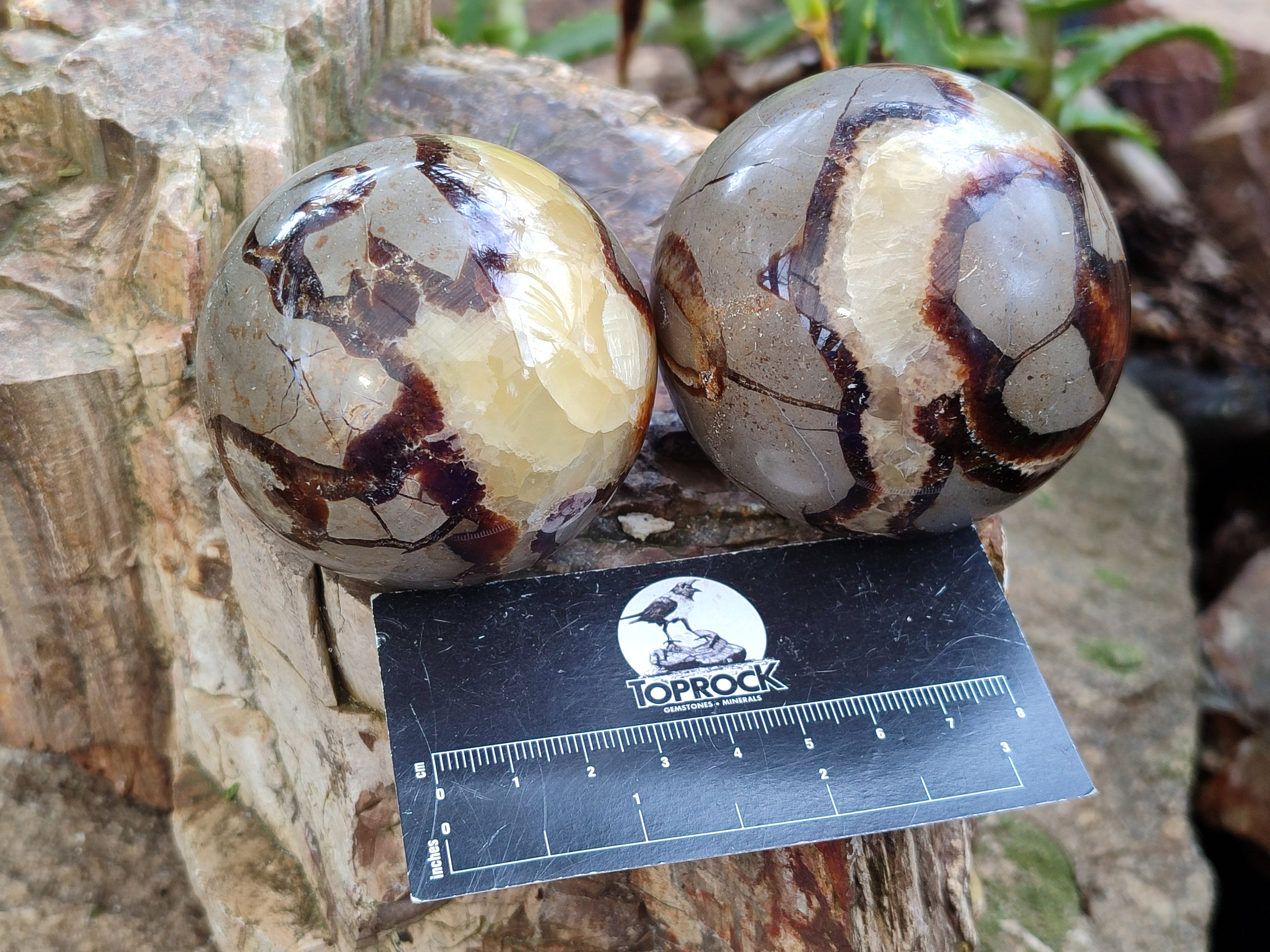 Polished Septerye Spheres x 4 From Mahajanga, Madagascar - Toprock Gemstones and Minerals 