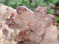 Natural Red Hematoid Quartz Cluster x 1 From Karoi, Zimbabwe