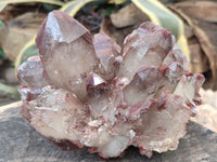 Natural Red Hematoid Quartz Cluster x 1 From Karoi, Zimbabwe
