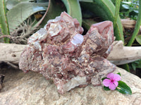 Natural Red Hematoid Quartz Cluster x 1 From Karoi, Zimbabwe