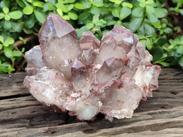 Natural Red Hematoid Quartz Cluster x 1 From Karoi, Zimbabwe