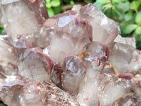 Natural Red Hematoid Quartz Cluster x 1 From Karoi, Zimbabwe