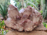 Natural Red Hematoid Quartz Cluster x 1 From Karoi, Zimbabwe