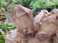 Natural Red Hematoid Quartz Cluster x 1 From Karoi, Zimbabwe
