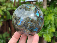 Polished Labradorite Spheres x 3 From Tulear, Madagascar - Toprock Gemstones and Minerals 