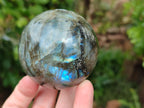 Polished Labradorite Spheres x 3 From Tulear, Madagascar - Toprock Gemstones and Minerals 