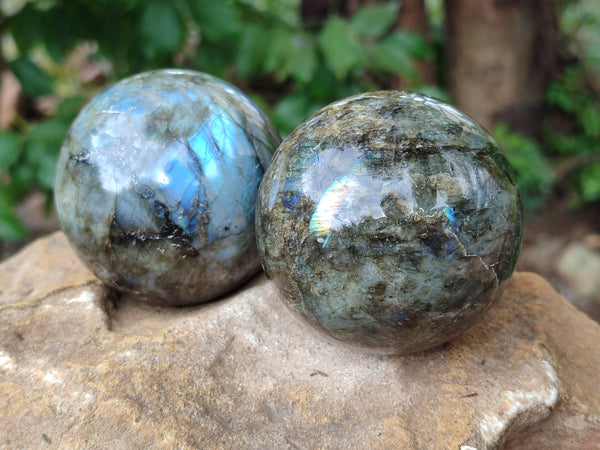 Polished Labradorite Spheres x 3 From Tulear, Madagascar - Toprock Gemstones and Minerals 