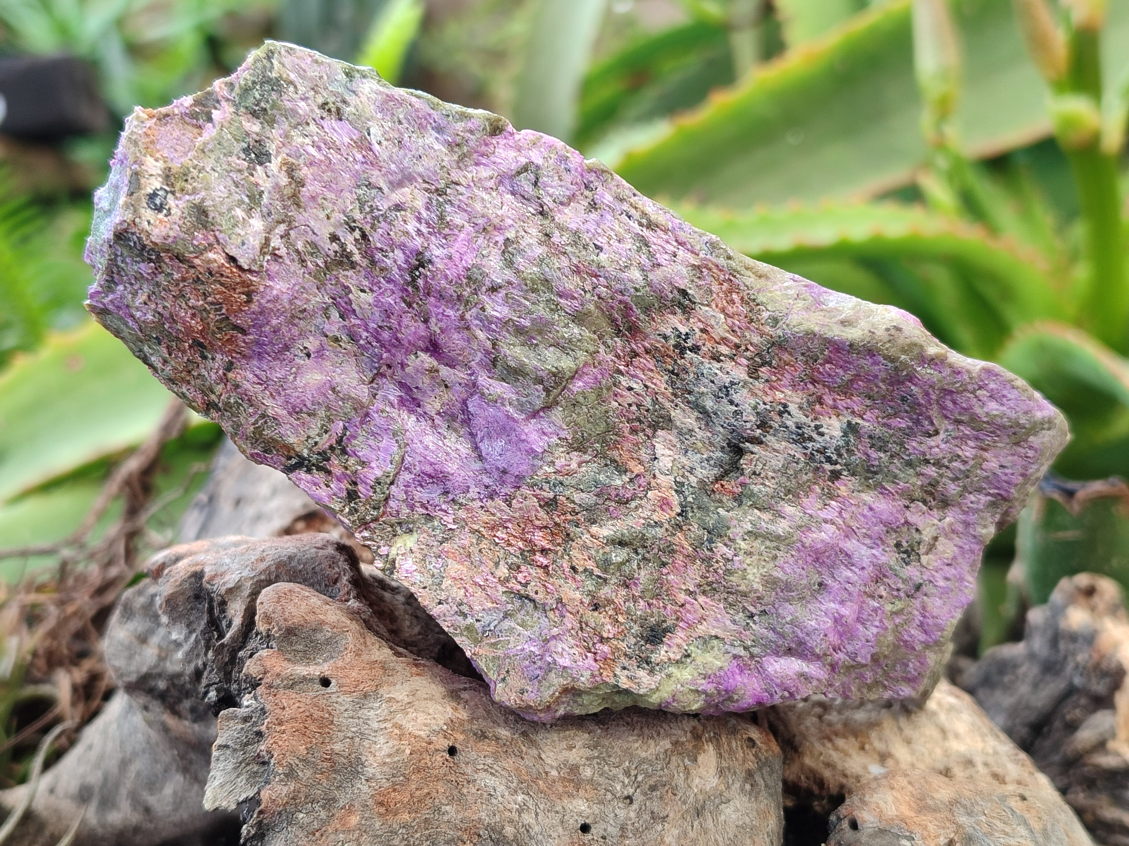 Natural Stichtite Cobbed Specimens x 3 From Barberton, South Africa - Toprock Gemstones and Minerals 