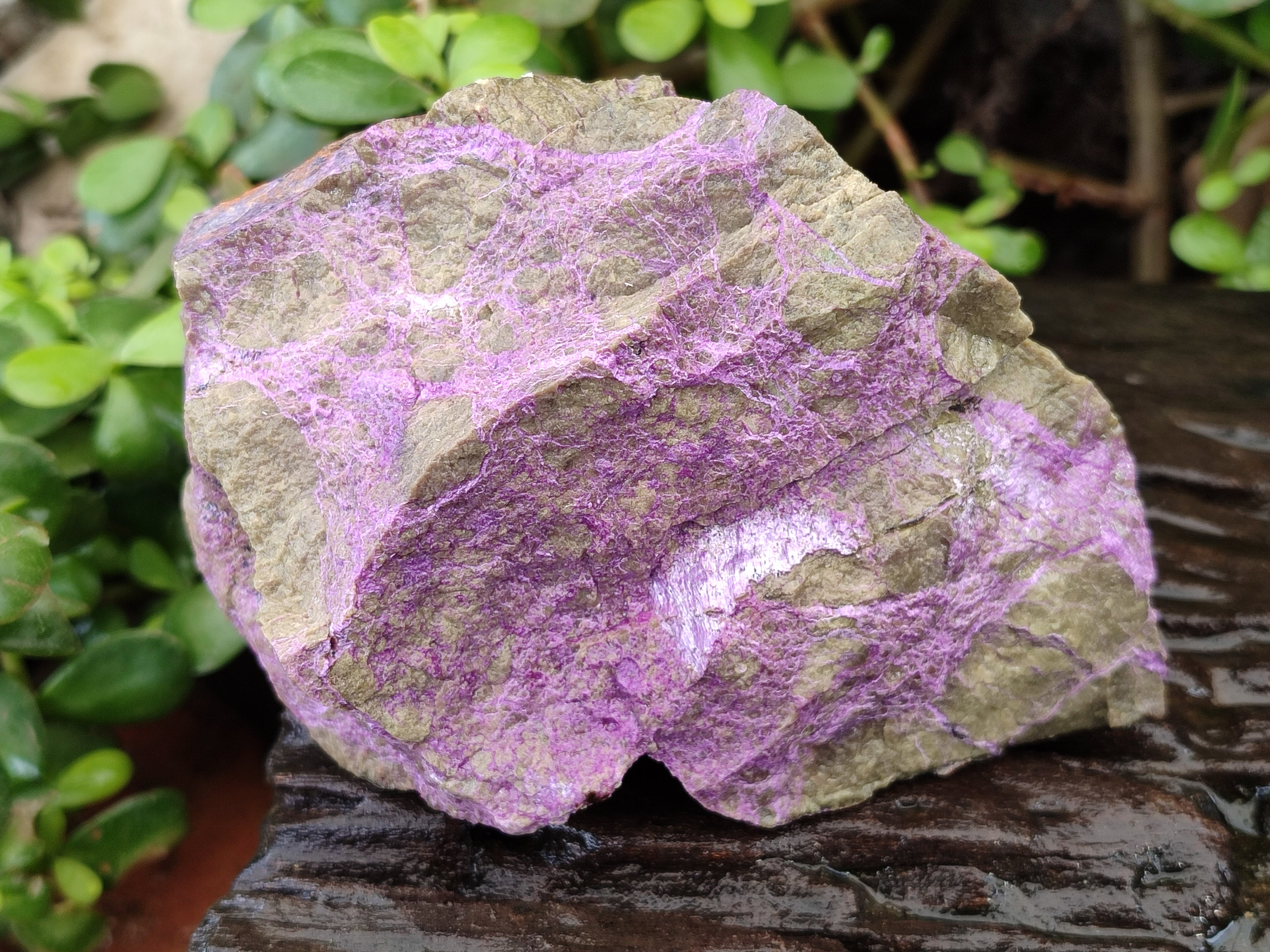 Natural Stichtite Cobbed Specimens x 3 From Barberton, South Africa - Toprock Gemstones and Minerals 
