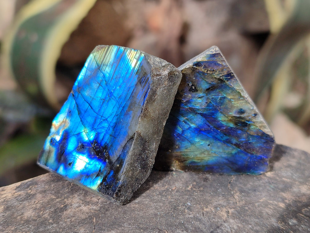 Polished On One Side Labradorite Plates x 35 From Tulear, Madagascar - Toprock Gemstones and Minerals 