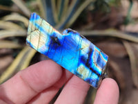Polished On One Side Labradorite Plates x 35 From Tulear, Madagascar - Toprock Gemstones and Minerals 