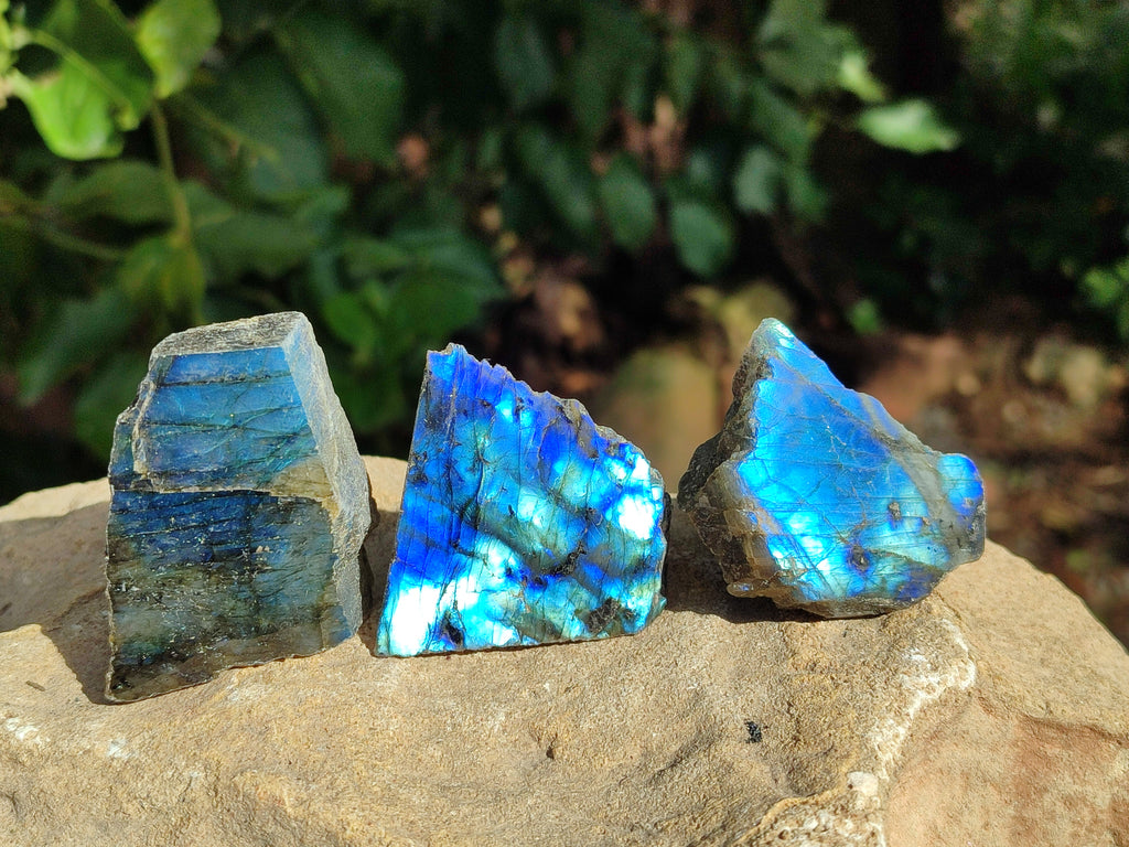 Polished On One Side Labradorite Plates x 35 From Tulear, Madagascar - Toprock Gemstones and Minerals 