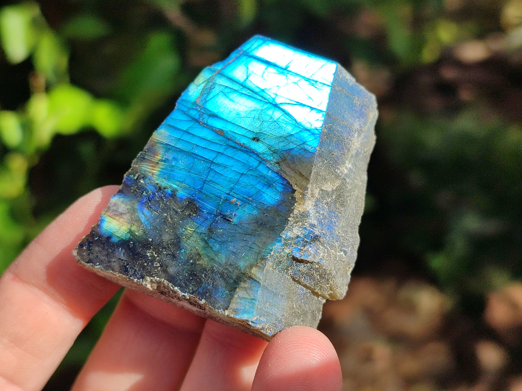 Polished On One Side Labradorite Plates x 35 From Tulear, Madagascar - Toprock Gemstones and Minerals 