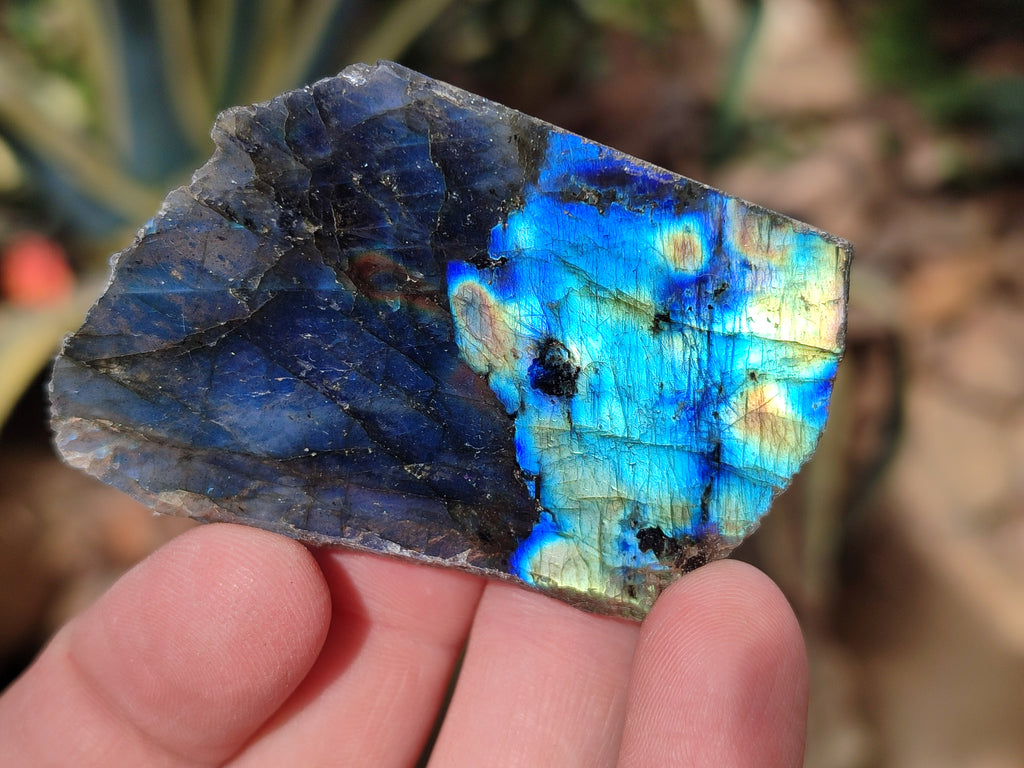 Polished On One Side Labradorite Plates x 35 From Tulear, Madagascar - Toprock Gemstones and Minerals 