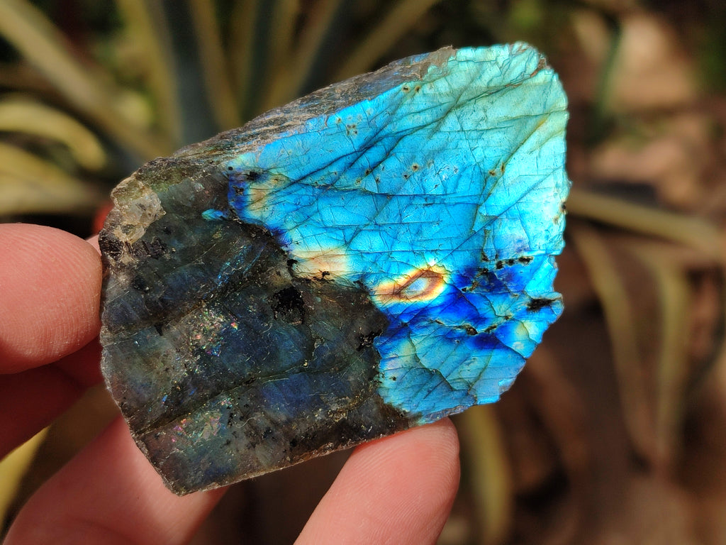 Polished On One Side Labradorite Plates x 35 From Tulear, Madagascar - Toprock Gemstones and Minerals 