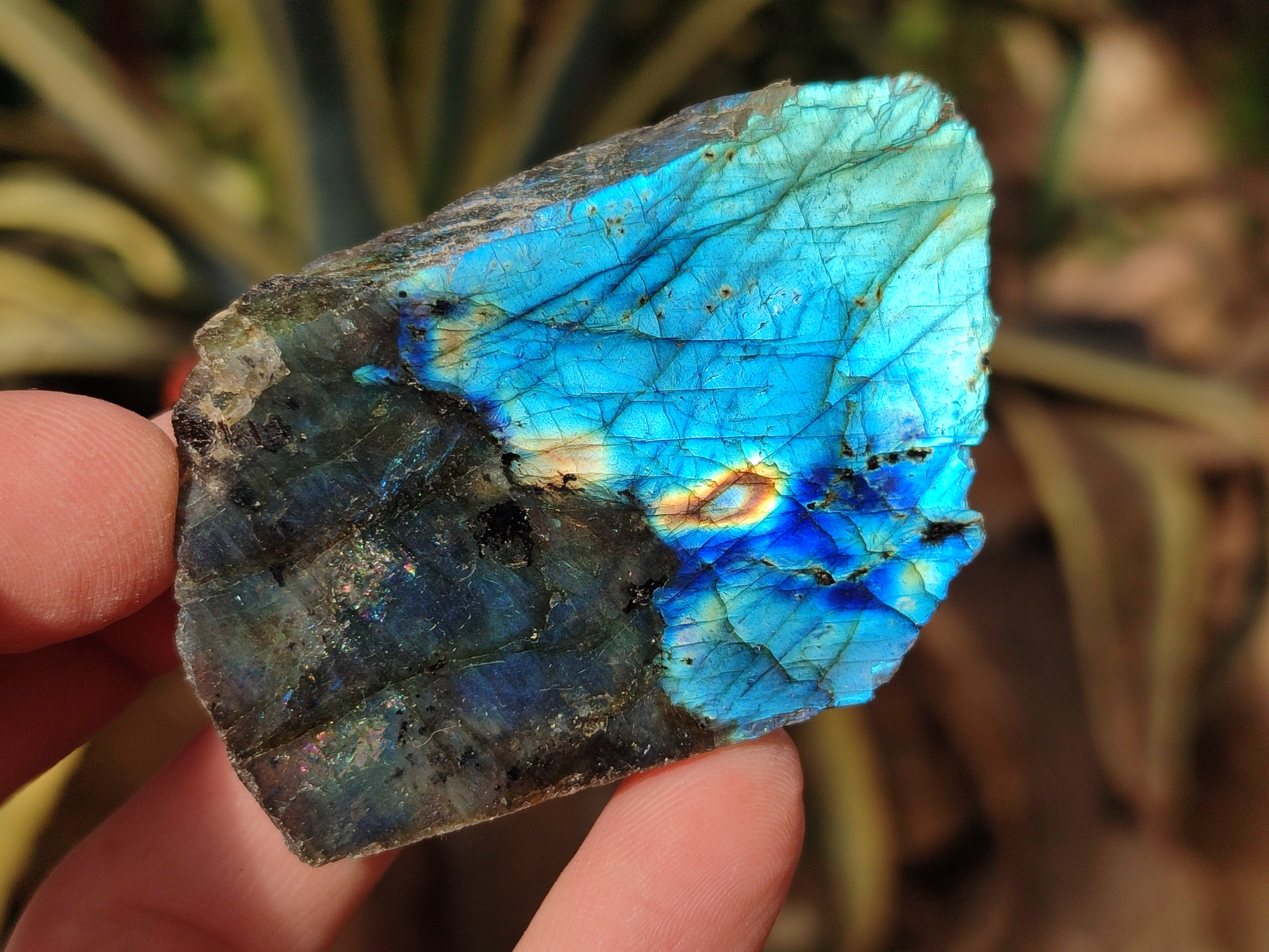 Polished On One Side Labradorite Plates x 35 From Tulear, Madagascar - Toprock Gemstones and Minerals 