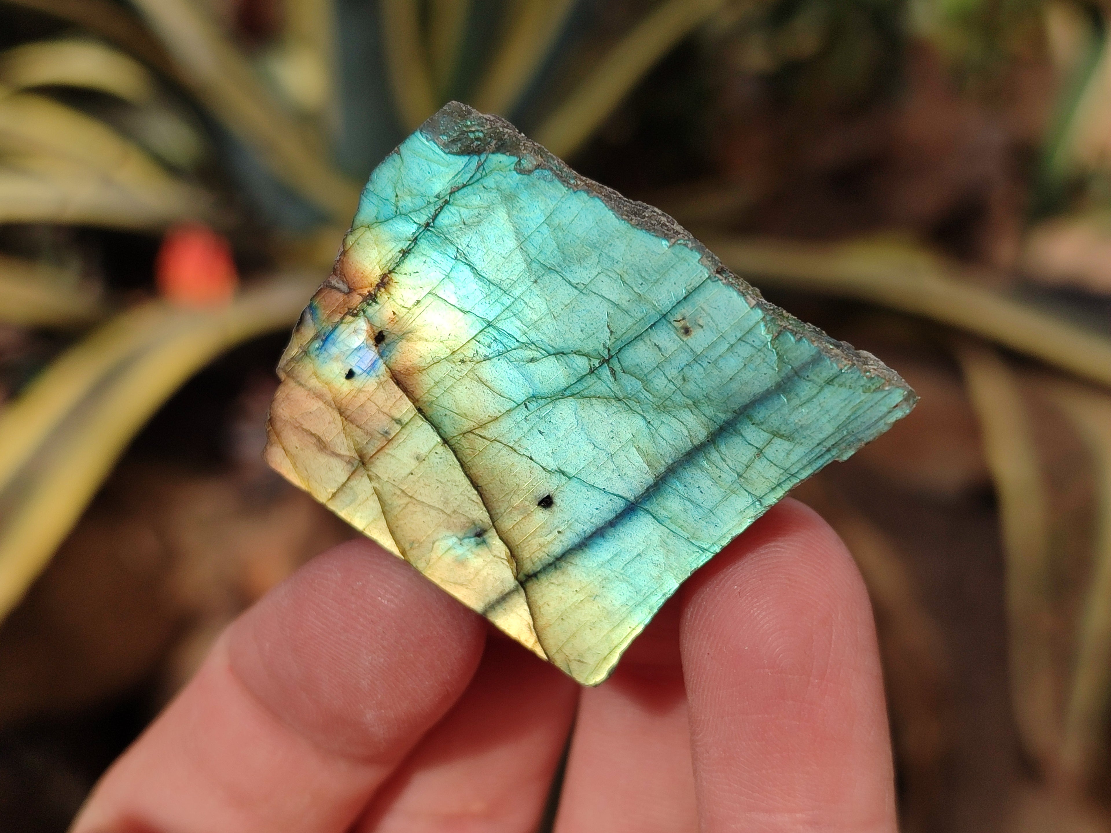 Polished On One Side Labradorite Plates x 35 From Tulear, Madagascar - Toprock Gemstones and Minerals 