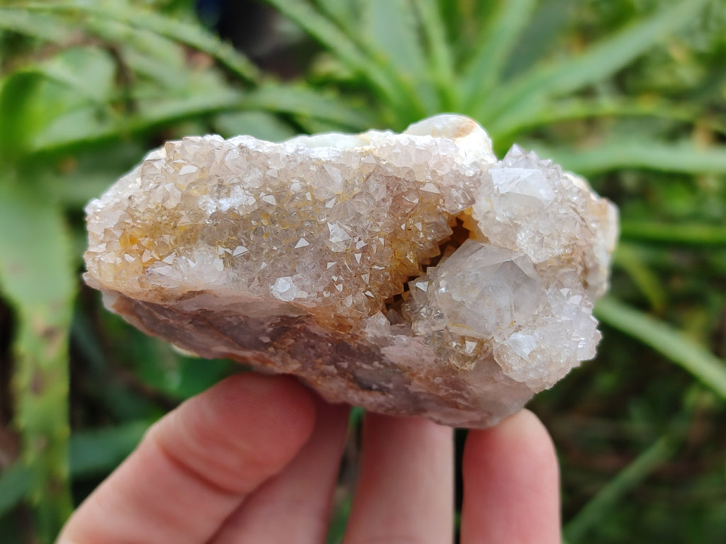 Natural Mixed Spirit Quartz Crystals x 6 From Boekenhouthoek, South Africa - Toprock Gemstones and Minerals 