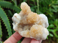 Natural Mixed Spirit Quartz Crystals x 6 From Boekenhouthoek, South Africa - Toprock Gemstones and Minerals 