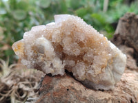Natural Mixed Spirit Quartz Crystals x 6 From Boekenhouthoek, South Africa - Toprock Gemstones and Minerals 