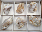Natural Mixed Spirit Quartz Crystals x 6 From Boekenhouthoek, South Africa - Toprock Gemstones and Minerals 