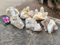 Natural Mixed Spirit Quartz Crystals x 6 From Boekenhouthoek, South Africa - Toprock Gemstones and Minerals 