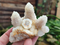 Natural Mixed Spirit Quartz Crystals x 6 From Boekenhouthoek, South Africa - Toprock Gemstones and Minerals 
