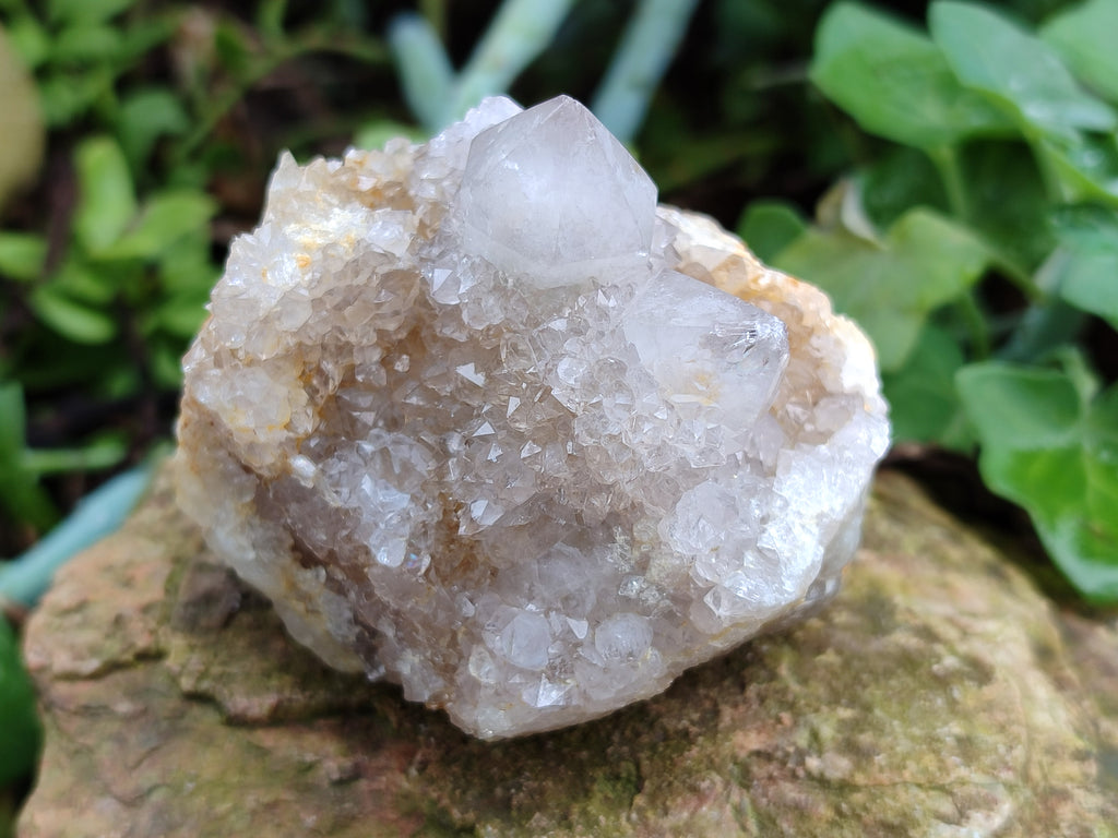 Natural Mixed Spirit Quartz Crystals x 6 From Boekenhouthoek, South Africa - Toprock Gemstones and Minerals 