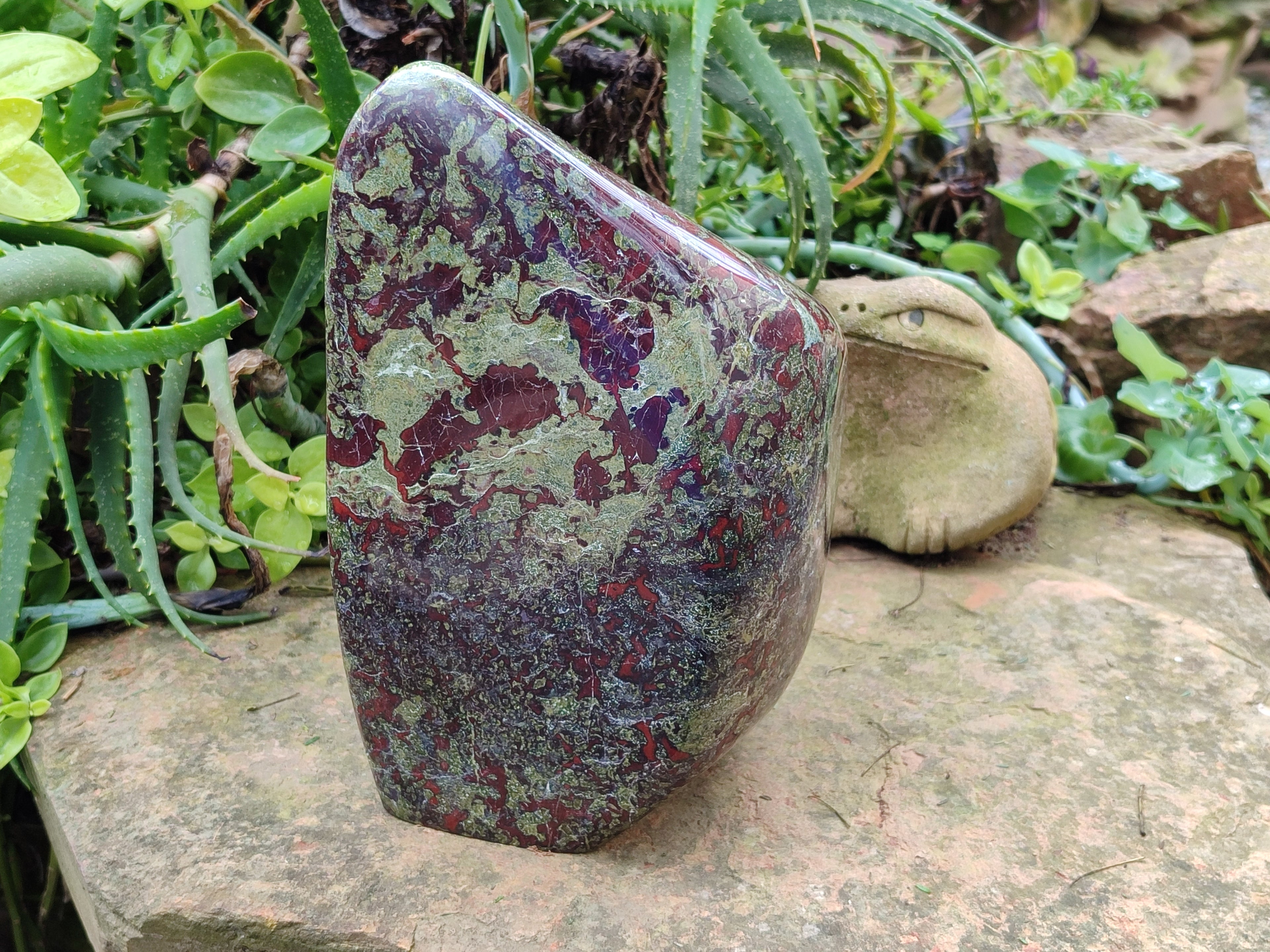 Polished Bastite Dragons Blood Stone Standing Free Form x 1 From Tshipise, South Africa - Toprock Gemstones and Minerals 