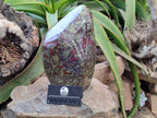 Polished Bastite Dragons Blood Stone Standing Free Form x 1 From Tshipise, South Africa - Toprock Gemstones and Minerals 